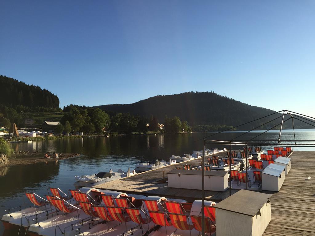 Rochire Location 2 Apartment Gerardmer Ngoại thất bức ảnh